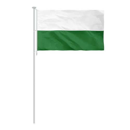 Sachsenflagge ohne Wappen